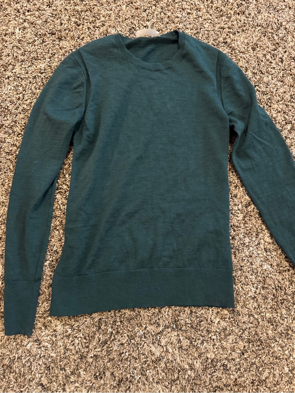 Everlane Men's Crewneck Sweater in Teal Green